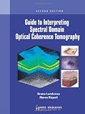 Guide to Interpreting Spectral Domain Oct