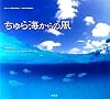 ちゅら海からの風