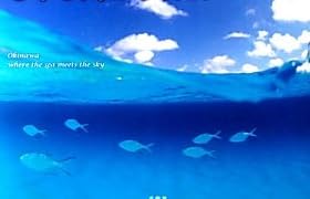 ちゅら海からの風