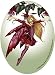 Amy Brown Air Freshener ~ Fuchsia Flower Fairy Air Freshener ~ Fantasy Art Air Freshner by Amy Brown