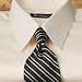 Imperial 100s European Straight Collar French Cuff Dress Shirt