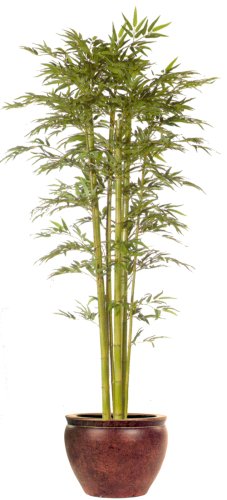 8FT BAMBOO TREE/2PC