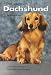 Contemporary Dachshund (World of Dogs)