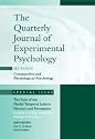 The Role of Medial Temporal Lobe in Memory and Perception