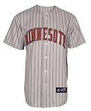 Minnesota Twins Youth 2010 Road MLB Replica Jersey