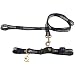 PET SET -SMALL-DALL COWBOYS - Small