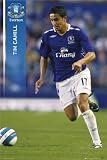 Everton- Tim Cahill Categories Poster Print, 24x36