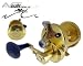 Avet LX 6/3 2 Speed Lever Drag Fishing Reel Gold - New