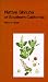 Native Shrubs of Southern California