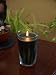 Filled Candle in Carmona Jar- Bayberry Scent, 19 oz