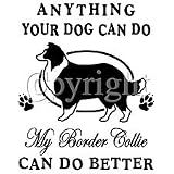 Dog Can Do Border Collie Womens Scoop Neck T-Shirt