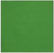 Durable Flat Weave 100% Cotton Colorful Solid Citrus Green Tablecloth 60x60 Inches