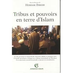 Tribus et pouvoirs en terre d'islam