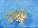 Close View of a Sargasso Weed Fish Photographic Poster Print by Wolcott Henry, 16x12