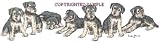 Airedale - Puppies in a Row by Cindy Farmer