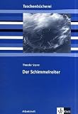 Der Schimmelreiter - Arbeitsheft: Ab 9./10 - Schuljahr - Theodor Storm