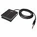 Bespeco Sustain Pedal Image