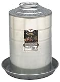Little Giant3 Gallon Double Wall Fount  9833