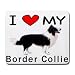 I Love My Border Collie