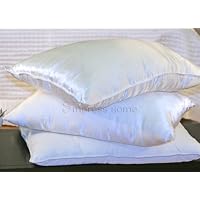 Silk Filled Pillow with Silk Charmeuse Cover