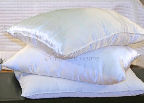 Silk filled Pillow Silk Charmeuse Cover