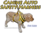 Canine Vest Safety Harness - X-Large