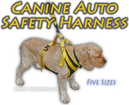 Canine Vest Safety Harness - Large