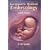 Langman's Medical Embryology