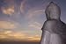 Art of Zen Being & Spiritual Awareness Guided Meditation CD ~ Buddha Mind