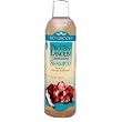 Bio Protein Lanolin Shamp 12oz
