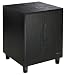 Jensen JS800 100-Watt 8 Subwoofer
