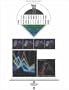 1999 IEEE Symposium on Information Visualization Infovis '99: Proceedings October 24-29, 1999 San Francisco, California