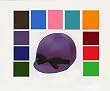 Solid Colored Helmet Covers with Black Bow