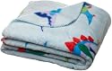 Olive Kids Dinosaurland Raschel Fleece Throw