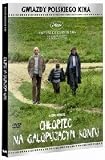Boy on galloping horse (Adam Guzinski, M. Migas) DVD