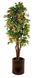 Review i-koncepts Ltd  / 5ft Maple with Natural Stem - Artificial Plant