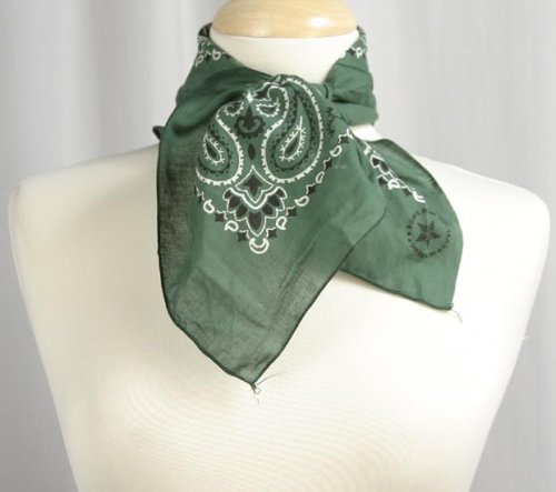 Hav-A-Hank Green Cotton Paisley Bandana Handkerchief