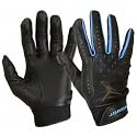 NIKE Team Jordan Batting Gloves