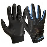NIKE Team Jordan Batting Gloves