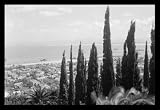 Buyenlarge - Carmel & Haifa 20x30 poster