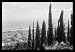 Buyenlarge - Carmel & Haifa 20x30 poster