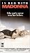 Search : Madonna: Truth or Dare