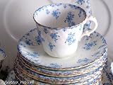 Review staffordshire  / Staffordshire Blue and White Transfer Cup and Saucer