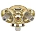 413Bmqy67cL. SL75  Progress Lighting P2611 33 2 Light Kit with White Opal Glass For Use with P2500, P2501 and P2502 Ceiling Fans, Cobblestone