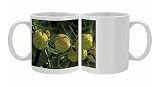 DAD-1726 Swan Plant / Balloon Flower - inflated globose seed pods Photo Mugs
