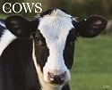 Just Cows 2010 Calendar