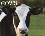 Just Cows 2010 Calendar