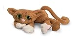 Cheap Deals on  cat-Lanky Cats Goldie