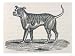 An Early Engraving of a Bulldog Animals Giclee Poster Print, 24x18