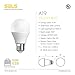 SELS LED A19 60-Watt Equivalent LED Light Bulb, E26 Standard Base, Daylight (3 Pack)